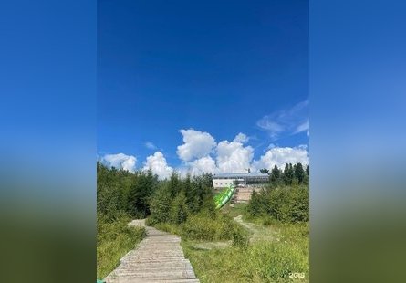 Лесное озеро